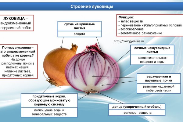 Даркнет площадки