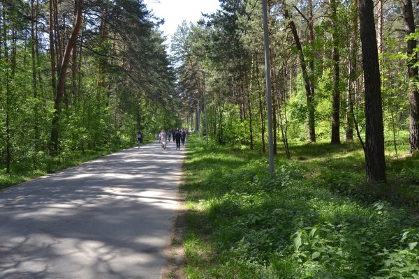 Как сделать заказ на кракен